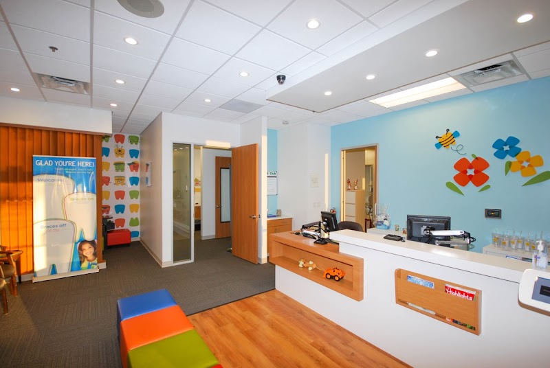 Aisa Zamani, DDS — pediatric dentist in Garland