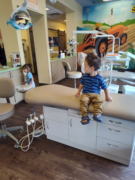 Aleksandra Dragojevic, DDS — pediatric dentist in Elgin