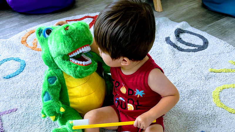 Christina Phuc Huynh, DDS — pediatric dentist in Fort Worth