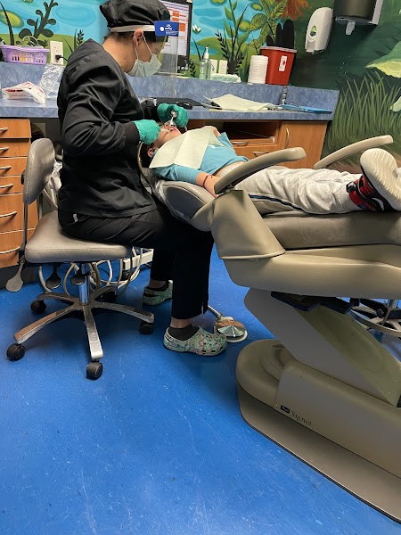 Damon Dorsey Ross, DDS — pediatric dentist in Bulverde