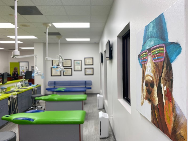 Derek L Leung, DDS — pediatric dentist in San Marcos