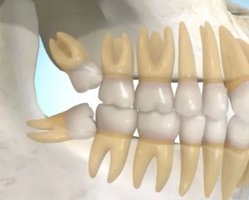 James D. Lussier, DDS — pediatric dentist in Kerrville