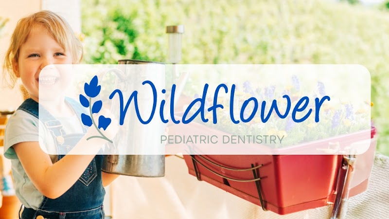Lydia Lisa Brett, DDS — pediatric dentist in Bellarie