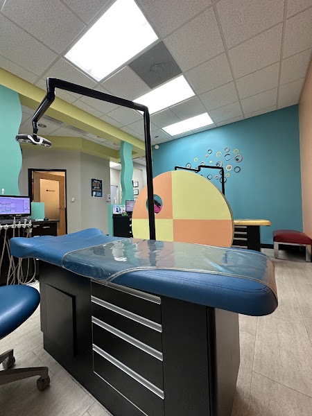 Susmitha Aluru, DDS — pediatric dentist in Hutto
